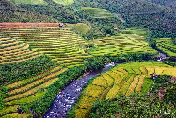 Những d&ograve;ng suối đẹp duy&ecirc;n d&aacute;ng ở T&acirc;y Bắc